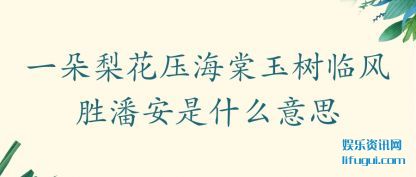 ����һ���滨ѹ���������ٷ�ʤ�˰���ʲô��˼