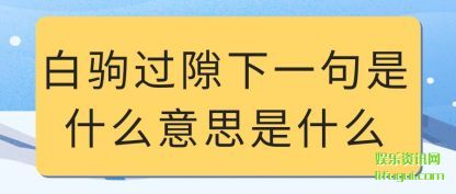 Ͱ׾Թ϶һʲô˼ʲô