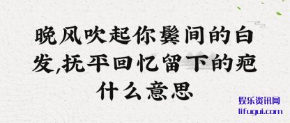 紵޼İ׷,ƽµİʲô˼