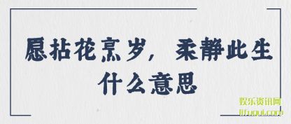 Ը黨,ᾲʲô˼