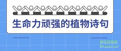 ǿֲʫ