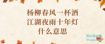 һƽҹʮʲô˼