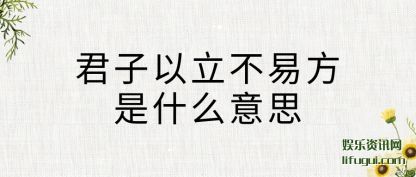 (yi)׷(shi)ʲô˼