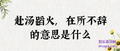 (dao),(zai)ǵ˼ʲô