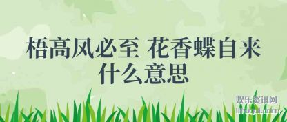 ߷(zhi) (die)ʲô˼