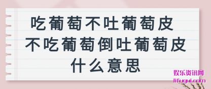 (tao)Ƥ ѵ(dao)Ƥʲô˼