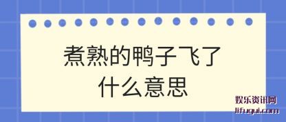 Ѽӷ(fei)ʲô(me)˼