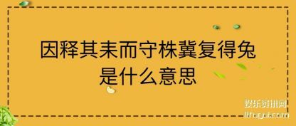 因释其耒而守(shou)(shou)株冀复(fu)得兔是什么(me)意思