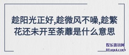 趁阳光正好(hao),趁微风(feng)(feng)不噪(zao),趁(chen)繁花还未开至荼(cha)蘼是什么意思