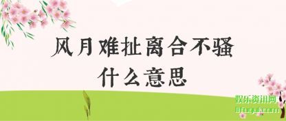 �����ѳ����(he)��ɧʲô��(yi)˼