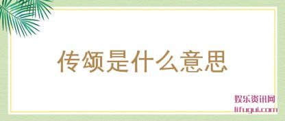 ������ʲô��(yi)˼