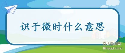 ʶ��΢ʱ(shi)ʲô��˼