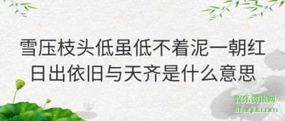 ѩѹ֦ͷ��(di)��Ͳ���(zhe)��һ�����ճ�������������ʲô��˼