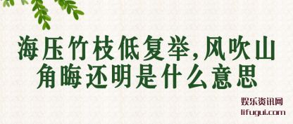 ��ѹ��֦(zhi)�͸���,��(feng)��ɽ�ǻ޻�����ʲô��˼