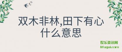 ˫ľ����,��(tian)������ʲ(shi)ô��˼