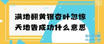 ���ط�����(yin)��Ҷ������(tian)�ظ�ɹ�ʲô��˼