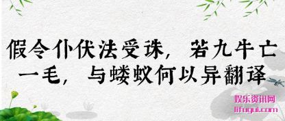 ͷ(fa),(ruo)ţһë,Ϻ췭