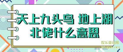Ͼͷ(niao) Ϻ(lao)ʲô˼