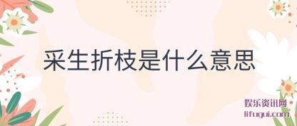 ֦(shi)ʲô˼