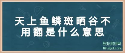 ۰ɹ(shai)Ȳ(yong)ʲô˼