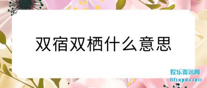 ˫˫(shuang)ʲô(me)˼