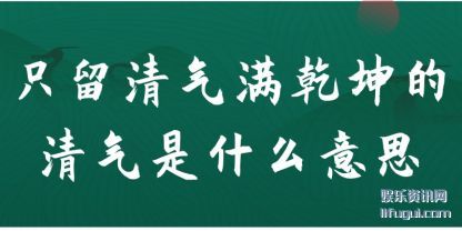 ֻ(qi)Ǭ(kun)ʲô˼