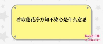 ȡ(fang)֪Ⱦ(xin)ʲô˼
