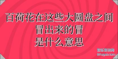 ٺɻ(hua)Щ(xie)Բ֮ððʲô˼