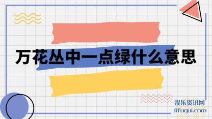 򻨴(cong)һ(dian)ʲô˼