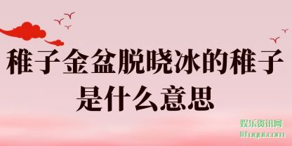 ӽ(jin)(zhi)ʲô˼