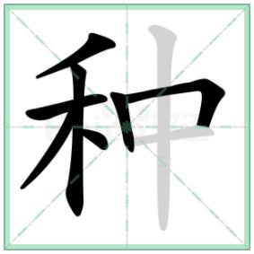 ֱ֡ʻ˳ ֵȷ˳ôд